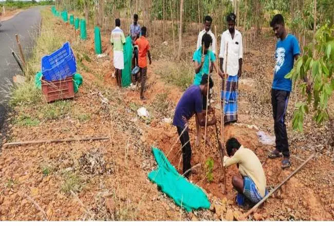pudukkottai district youth trees peoples 